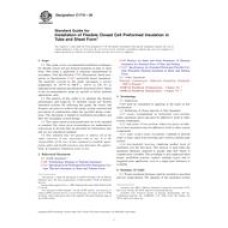 ASTM C1710-09