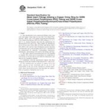ASTM F2434-09 ASTM F2434-09