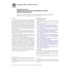 ASTM D6907-05(2010) ASTM D6907-05(2010)