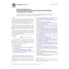 ASTM F2817-10 ASTM F2817-10