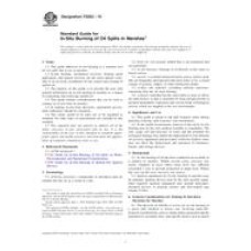 ASTM F2823-10 ASTM F2823-10