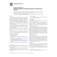 ASTM F2825-10e1
