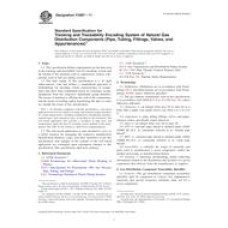 ASTM F2897-11 ASTM F2897-11