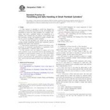 ASTM F2856-11