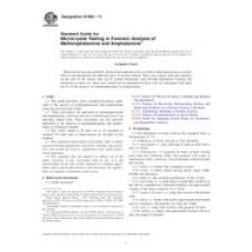 ASTM E1969-11 ASTM E1969-11