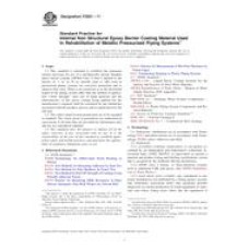 ASTM F2831-11 ASTM F2831-11