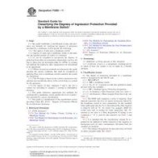 ASTM F2865-11 ASTM F2865-11