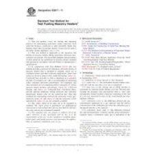 ASTM E2817-11