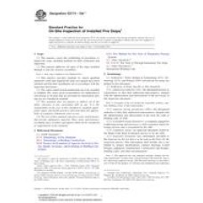 ASTM E2174-10ae1 ASTM E2174-10ae1