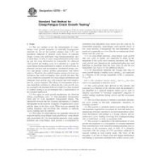 ASTM E2760-10e1 ASTM E2760-10e1