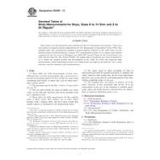 ASTM D6458-12 ASTM D6458-12