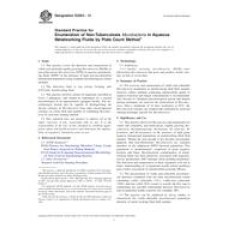 ASTM E2563-13