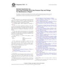 ASTM F2817-13 ASTM F2817-13