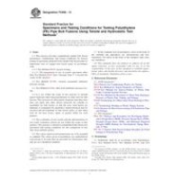 ASTM F2928-13