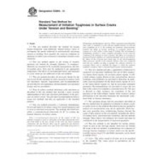 ASTM E2899-13 ASTM E2899-13