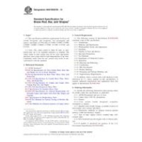 ASTM B927/B927M-13