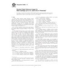 ASTM E2868-13 ASTM E2868-13