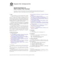 ASTM F2034-08(2013)