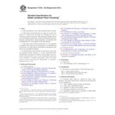 ASTM F2034-08(2013)