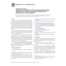 ASTM F2719-09(2015)