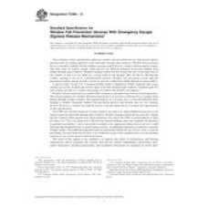 ASTM F2090-13