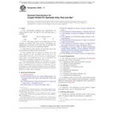 ASTM B929-17