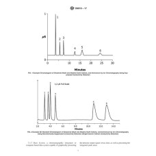 ASTM D6919-17