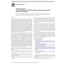 ASTM F3207-17