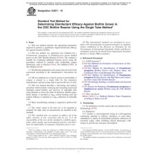 ASTM E2871-19