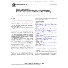 ASTM F1948-20
