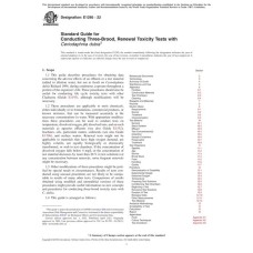 ASTM E1295-22