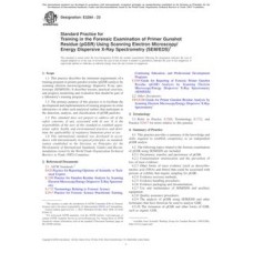 ASTM E3284-23 ASTM E3284-23