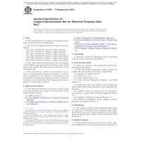 ASTM B1005-17(2023)