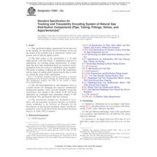 ASTM F2897-23a ASTM F2897-23a