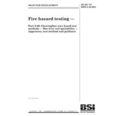 BS DD IEC/TS 60695-2-20:2004