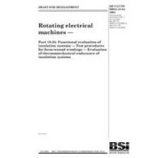 BS DD CLC/TS 60034-18-34:2004 BS DD CLC/TS 60034-18-34:2004