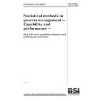BS PD ISO/TR 22514-4:2007 BS PD ISO/TR 22514-4:2007