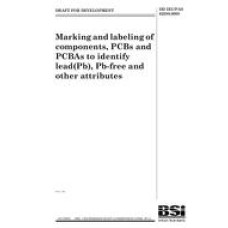 BS DD IEC/PAS 62588:2008