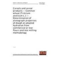 BS DD CEN/TS 15731:2008