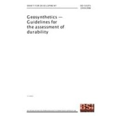 BS DD ISO/TS 13434:2008