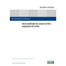 BS DD CEN/TS 1187:2012