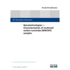 BS PD ISO/TR 10929:2012