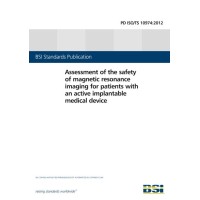 BS PD ISO/TS 10974:2012 BS PD ISO/TS 10974:2012