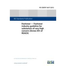 BS PD CEN/TR 16417:2012 BS PD CEN/TR 16417:2012