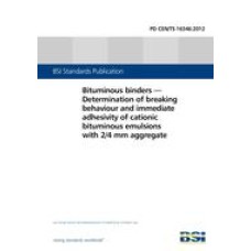BS PD CEN/TS 16346:2012