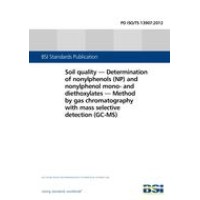 BS PD ISO/TS 13907:2012 BS PD ISO/TS 13907:2012