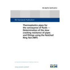 BS PD ISO/TS 16479:2012
