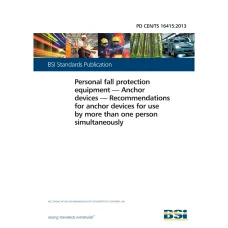 BS PD CEN/TS 16415:2013
