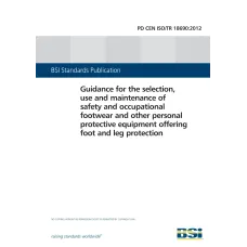 BS PD CEN ISO/TR 18690:2012