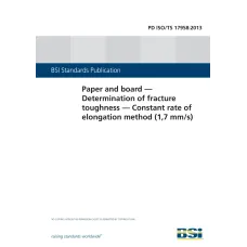 BS PD ISO/TS 17958:2013